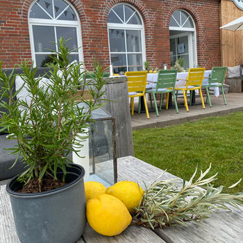 Feiern im Atelier...